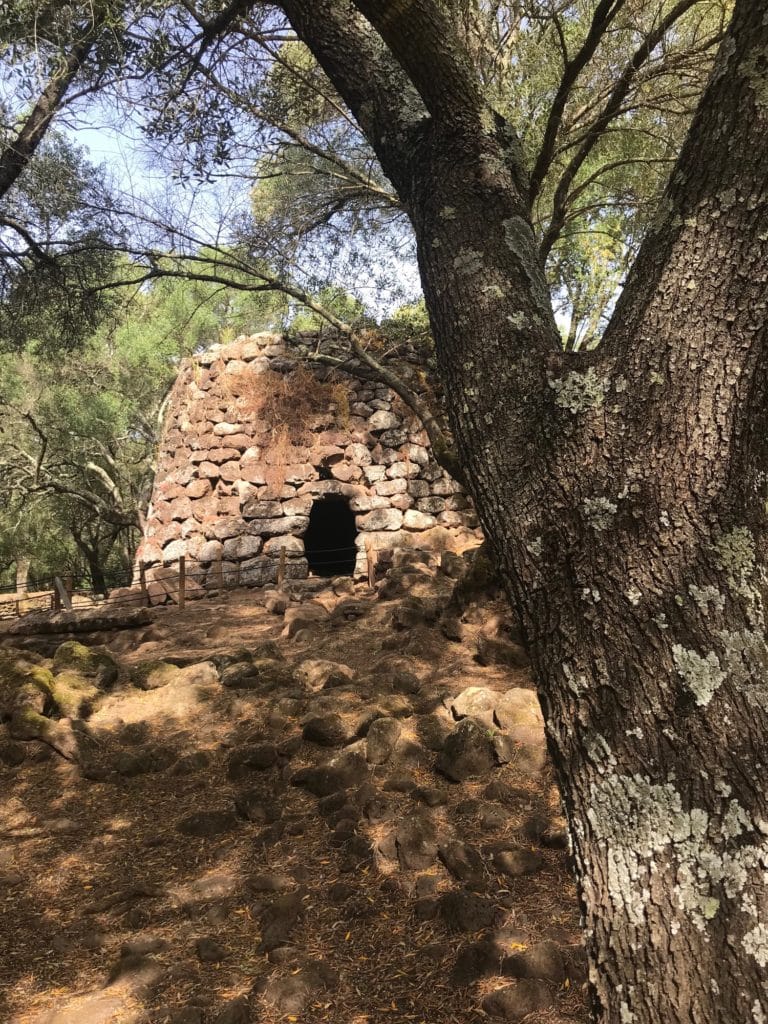 Sardegna 7